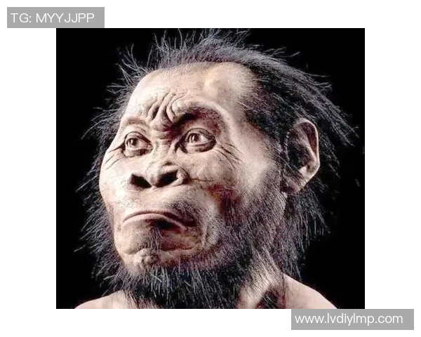 巴西猿人与松恩视频的精彩对决揭示人类进化的奥秘与争议