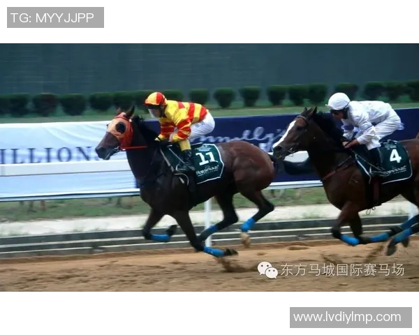 热火与山猫激战正酣NBA视频直播精彩瞬间回顾与分析