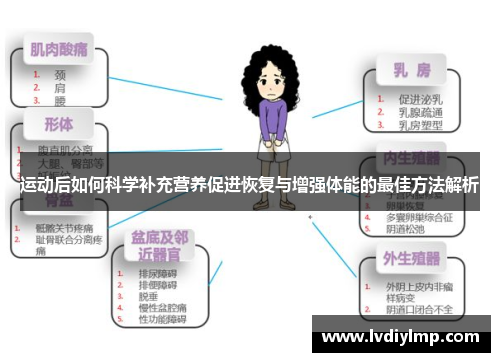 运动后如何科学补充营养促进恢复与增强体能的最佳方法解析