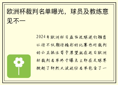 欧洲杯裁判名单曝光，球员及教练意见不一