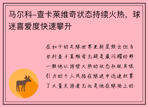 马尔科-查卡莱维奇状态持续火热，球迷喜爱度快速攀升