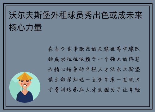 沃尔夫斯堡外租球员秀出色或成未来核心力量